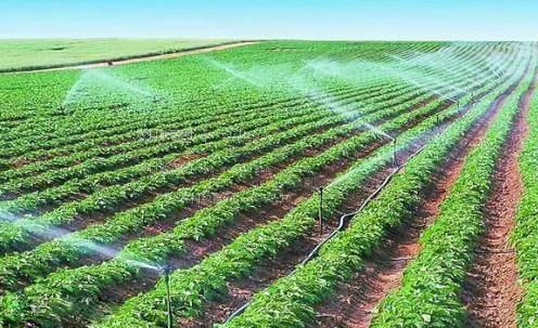 欠操的美女农田高 效节水灌溉